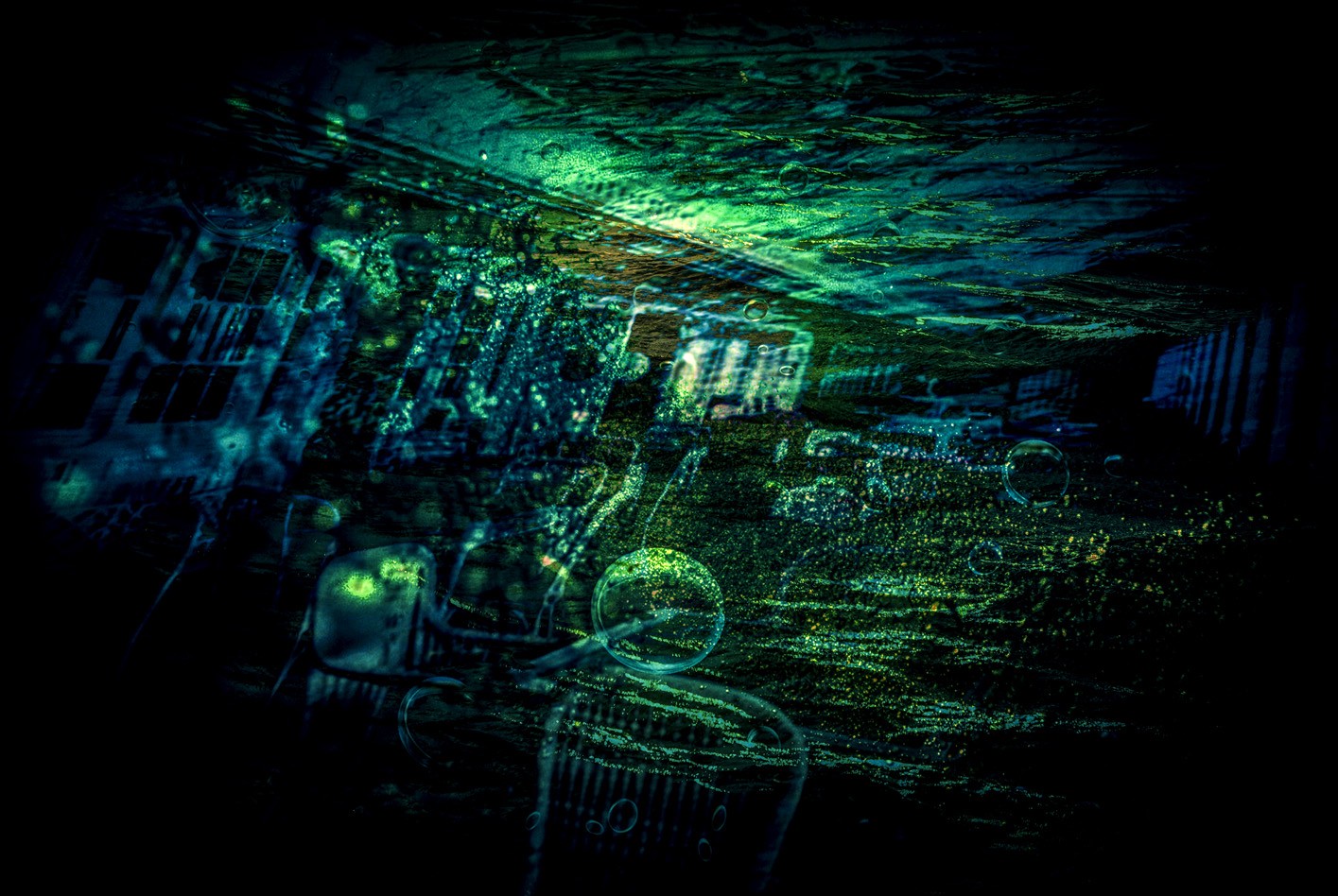Silent world